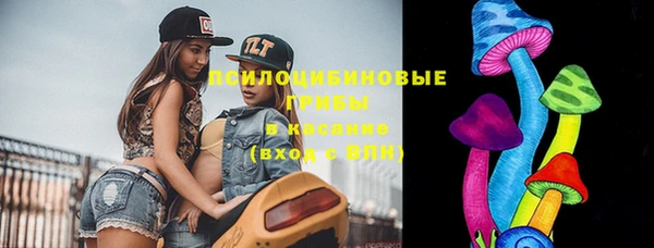 mix Осинники
