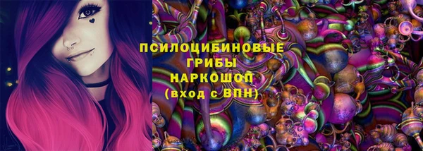 ешки Переславль-Залесский