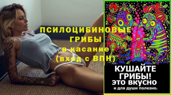 мет Пестово