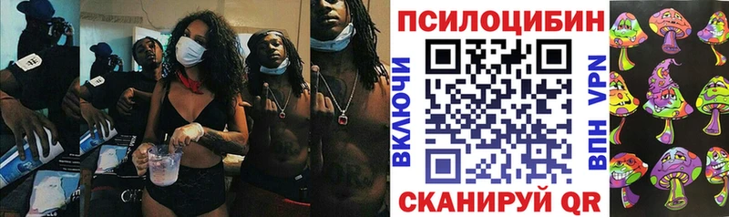 Псилоцибиновые грибы прущие грибы Любань